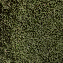 Satellite imagery of Bastion Mountain, CA