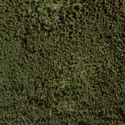 Satellite imagery of Bastion Mountain, CA