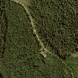 Satellite imagery of Bastion Mountain, CA