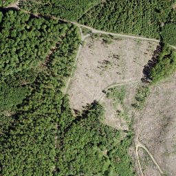 Satellite imagery of Brühlkopf, DE