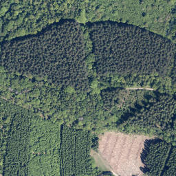 Satellite imagery of Große Rausche, DE