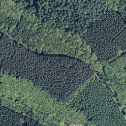 Satellite imagery of Große Rausche, DE