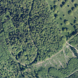 Satellite imagery of Große Rausche, DE