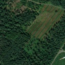 Satellite imagery of Riesenberg, DE