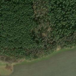 Satellite imagery of Hohe Birke, DE