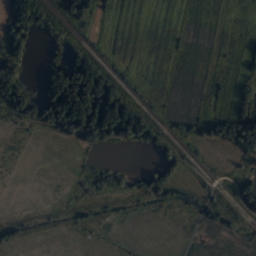 Satelita