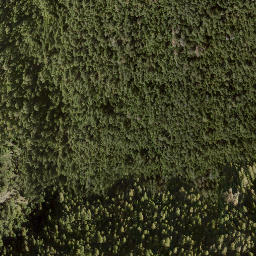 Satellite imagery of Bastion Mountain, CA