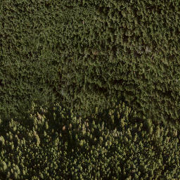 Satellite imagery of Bastion Mountain, CA