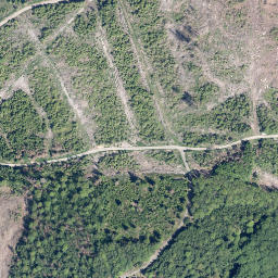 Satellite imagery of Kreuzeiche, DE