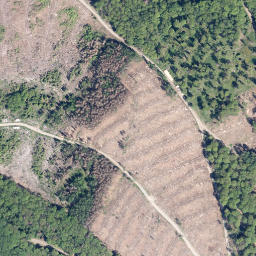 Satellite imagery of Kreuzeiche, DE
