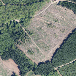 Satellite imagery of Große Rausche, DE