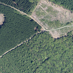 Satellite imagery of Große Rausche, DE