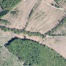Satellite imagery of Kleine Rausche, DE