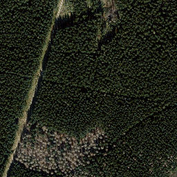 Satellite imagery of Knie, DE