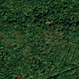 Satellite imagery of Käfernburg, DE