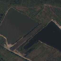 Satelita