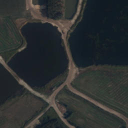 Satelita