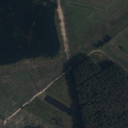 Satelita