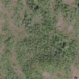 Satellite imagery of Shushartie Saddle, CA