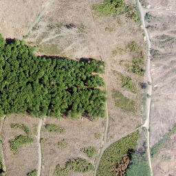 Satellite imagery of Kreuzeiche, DE