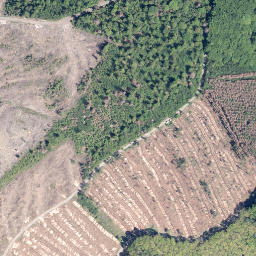 Satellite imagery of Kreuzeiche, DE