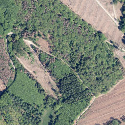 Satellite imagery of Kreuzeiche, DE