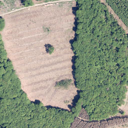 Satellite imagery of Große Rausche, DE