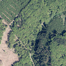 Satellite imagery of Große Rausche, DE