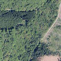 Satellite imagery of Kleine Rausche, DE