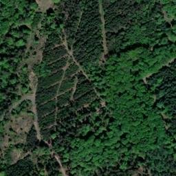 Satellite imagery of Wittelsberg, DE