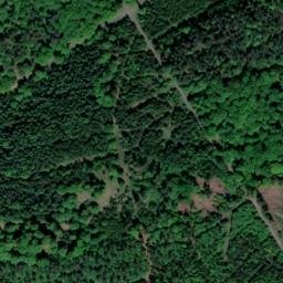 Satellite imagery of Wittelsberg, DE