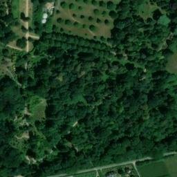 Satellite imagery of Pamphill, GB