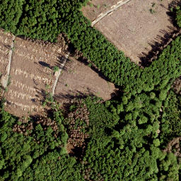 Satellite imagery of Kohlenberg, DE