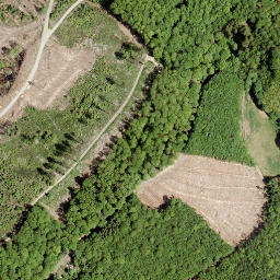 Satellite imagery of Kohlenberg, DE