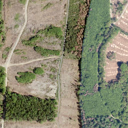 Satellite imagery of Kreuzeiche, DE