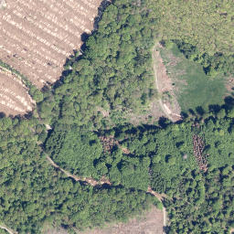 Satellite imagery of Kreuzeiche, DE