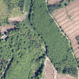 Satellite imagery of Kreuzeiche, DE