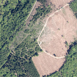 Satellite imagery of Kleine Rausche, DE