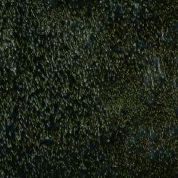 Satellite imagery of Mount Martley, CA