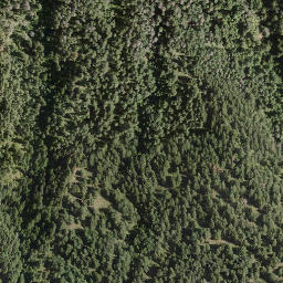 Satellite imagery of Paradise Point, CA