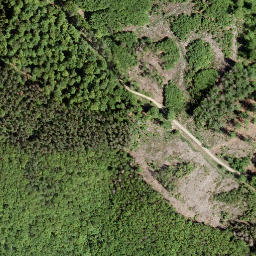 Satellite imagery of Molzberg, DE