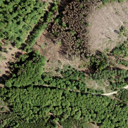 Satellite imagery of Molzberg, DE