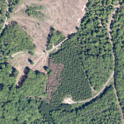 Satellite imagery of Schiffenberg, DE