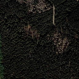 Satellite imagery of Weißenberg, DE