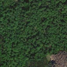 Satellite imagery of Wolfskreuz, DE