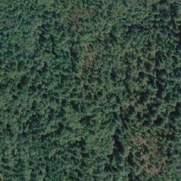Satellite imagery of Purcell Point, CA