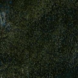 Satellite imagery of Mount Martley, CA