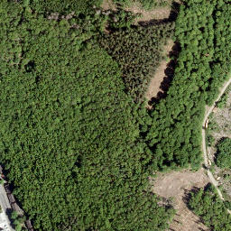 Satellite imagery of Molzberg, DE