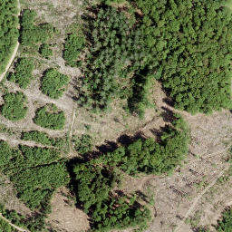 Satellite imagery of Molzberg, DE