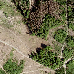 Satellite imagery of Windhahn, DE